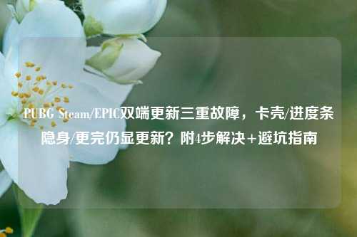 PUBG Steam/EPIC双端更新三重故障，卡壳/进度条隐身/更完仍显更新？附4步解决+避坑指南