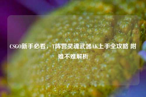 CSGO新手必看,T阵营灵魂武器AK上手全攻略 附难不难解析