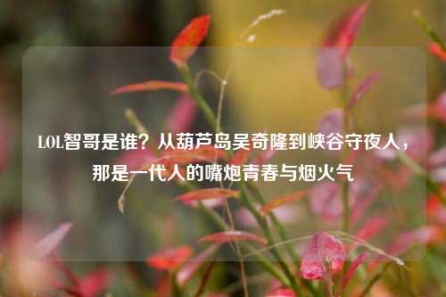 LOL智哥是谁？从葫芦岛吴奇隆到峡谷守夜人，那是一代人的嘴炮青春与烟火气