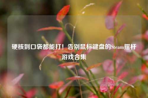 硬核到口袋都能打！告别鼠标键盘的Steam摇杆游戏合集