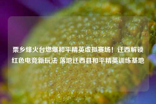 栗乡烽火台燃爆和平精英虚拟赛场！迁西解锁红色电竞新玩法 落地迁西县和平精英训练基地