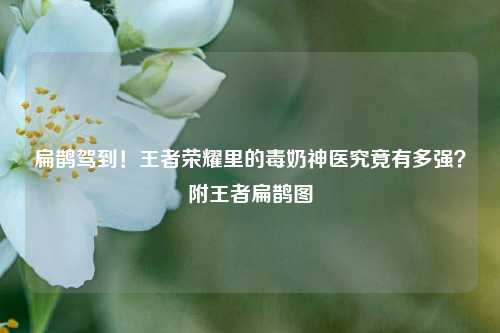 扁鹊驾到!王者荣耀里的毒奶神医究竟有多强?附王者扁鹊图