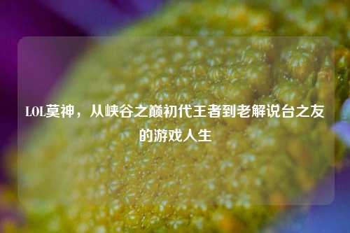 LOL莫神，从峡谷之巅初代王者到老解说台之友的游戏人生