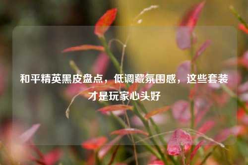 和平精英黑皮盘点，低调藏氛围感，这些套装才是玩家心头好
