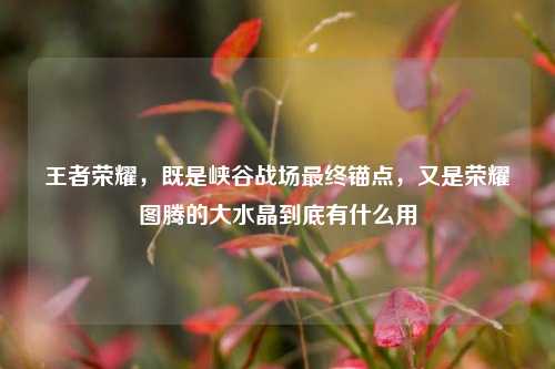 王者荣耀，既是峡谷战场最终锚点，又是荣耀图腾的大水晶到底有什么用