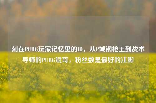 刻在PUBG玩家记忆里的ID，从P城钢枪王到战术导师的PUBG斌哥，粉丝数是最好的注脚