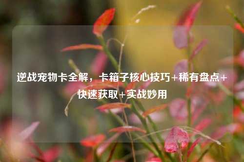 逆战宠物卡全解，卡箱子核心技巧+稀有盘点+快速获取+实战妙用