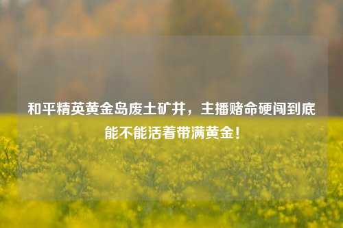 和平精英黄金岛废土矿井，主播赌命硬闯到底能不能活着带满黄金！