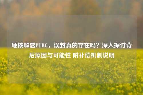 硬核解惑PUBG,误封真的存在吗?深入探讨背后原因与可能性 附补偿机制说明