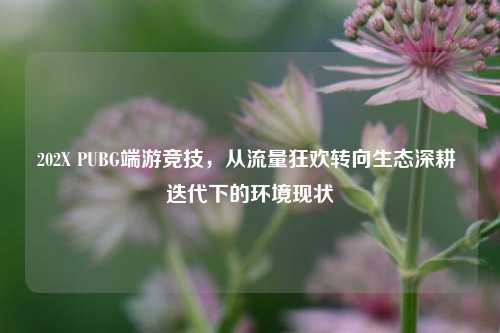 202X PUBG端游竞技,从流量狂欢转向生态深耕 迭代下的环境现状