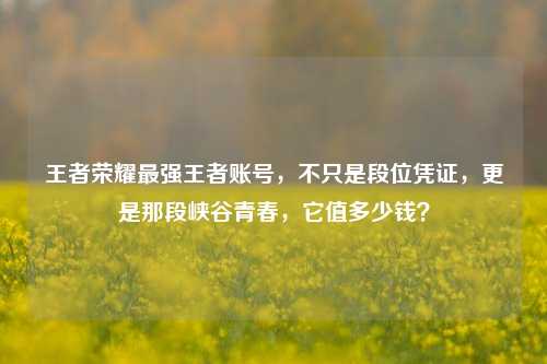 王者荣耀最强王者账号，不只是段位凭证，更是那段峡谷青春，它值多少钱？