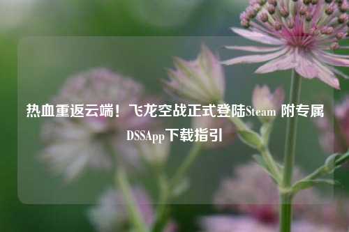 热血重返云端!飞龙空战正式登陆Steam 附专属DSSApp下载指引