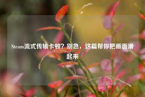 Steam流式传输卡顿?别急,这篇帮你把画面滑起来
