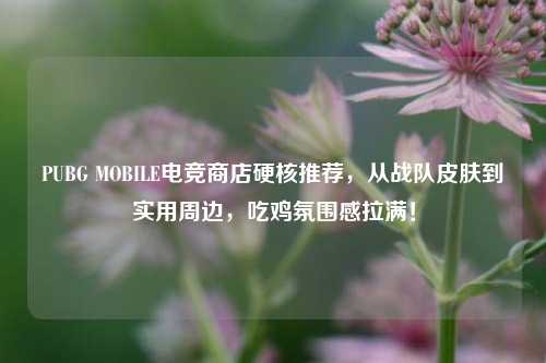 PUBG MOBILE电竞商店硬核推荐，从战队皮肤到实用周边，吃鸡氛围感拉满！