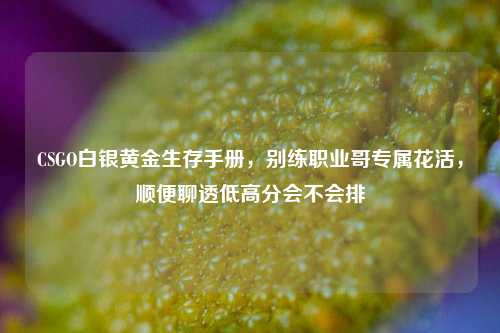 CSGO白银黄金生存手册，别练职业哥专属花活，顺便聊透低高分会不会排
