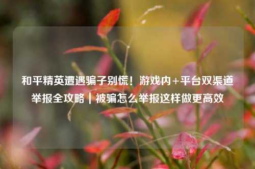 和平精英遭遇骗子别慌!游戏内+平台双渠道举报全攻略|被骗怎么举报这样做更高效