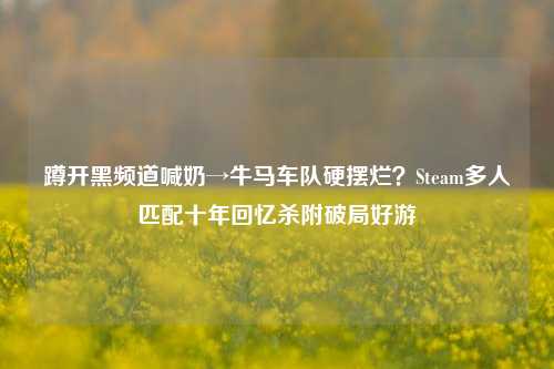 蹲开黑频道喊奶→牛马车队硬摆烂?Steam多人匹配十年回忆杀附破局好游