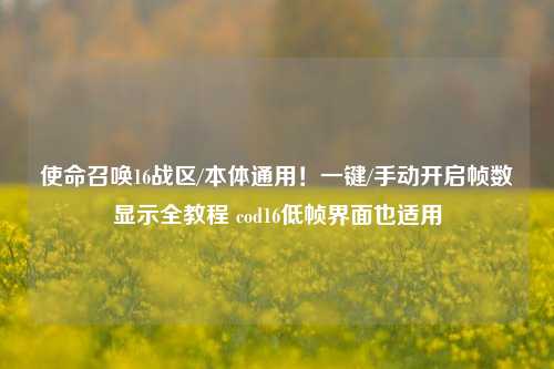 使命召唤16战区/本体通用!一键/手动开启帧数显示全教程 cod16低帧界面也适用