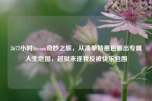 3677小时Steam奇妙之旅，从凑单特惠包画出专属人生地图，越狱未遂我反被快乐包围