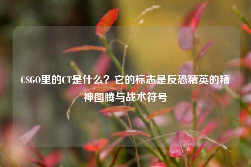 CSGO里的CT是什么？它的标志是反恐精英的精神图腾与战术符号