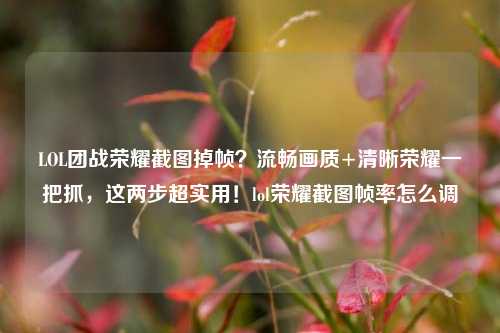 LOL团战荣耀截图掉帧?流畅画质+清晰荣耀一把抓,这两步超实用!lol荣耀截图帧率怎么调