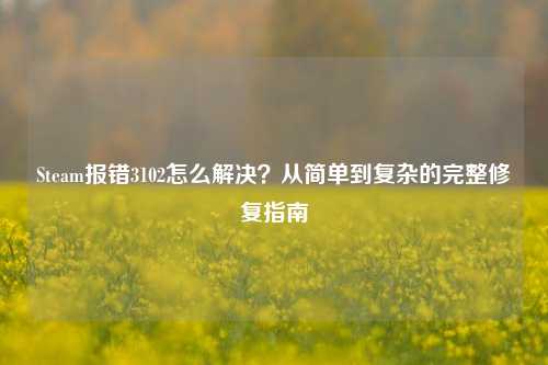 Steam报错3102怎么解决?从简单到复杂的完整修复指南