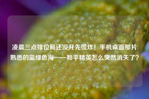 凌晨三点排位局还没开先慌炸！手机桌面那片熟悉的蓝绿色海——和平精英怎么突然消失了？