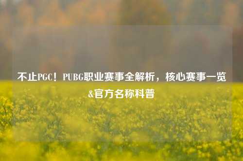 不止PGC!PUBG职业赛事全解析,核心赛事一览&官方名称科普