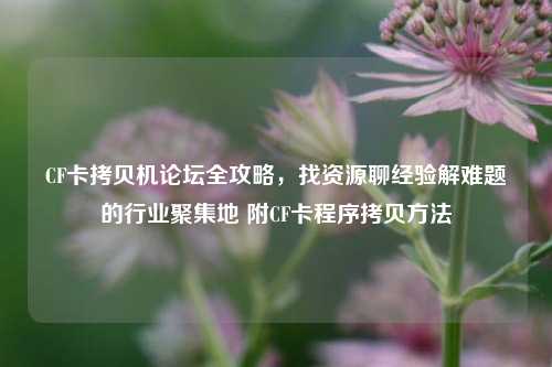 CF卡拷贝机论坛全攻略，找资源聊经验解难题的行业聚集地 附CF卡程序拷贝方法