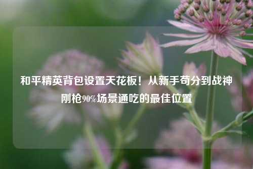 和平精英背包设置天花板!从新手苟分到战神刚枪90%场景通吃的最佳位置