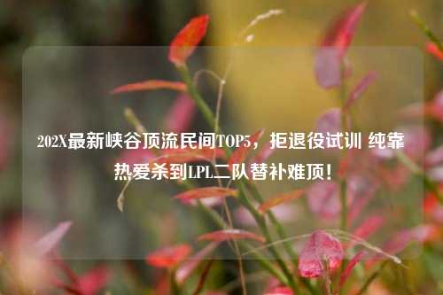202X最新峡谷顶流民间TOP5,拒退役试训 纯靠热爱杀到LPL二队替补难顶!