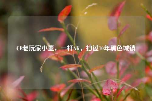 CF老玩家小董，一杆AK，扫过10年黑色城镇