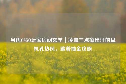 当代CSGO玩家房间玄学｜凌晨三点攥出汗的耳机孔热风，藏着抽金攻略