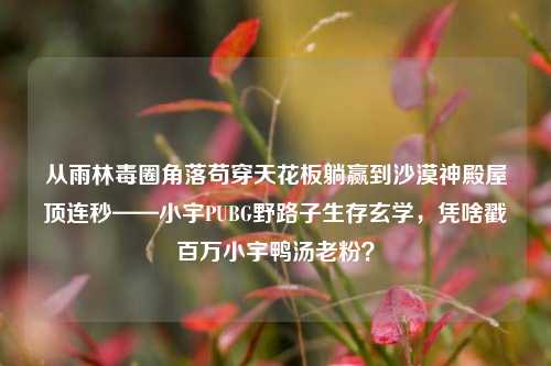 从雨林毒圈角落苟穿天花板躺赢到沙漠神殿屋顶连秒——小宇PUBG野路子生存玄学，凭啥戳百万小宇鸭汤老粉？