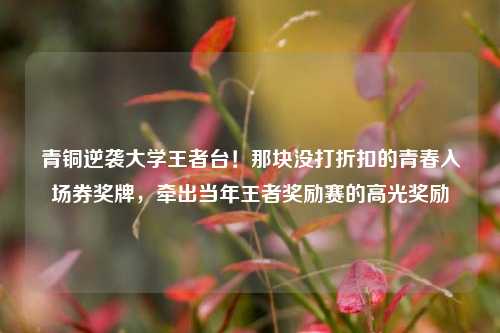 青铜逆袭大学王者台!那块没打折扣的青春入场券奖牌,牵出当年王者奖励赛的高光奖励