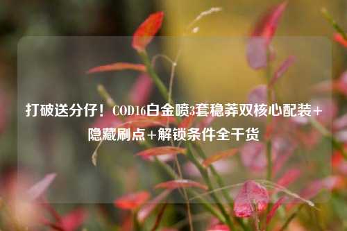 打破送分仔!COD16白金喷3套稳莽双核心配装+隐藏刷点+解锁条件全干货