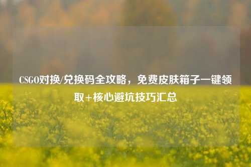 CSGO对换/兑换码全攻略,免费皮肤箱子一键领取+核心避坑技巧汇总