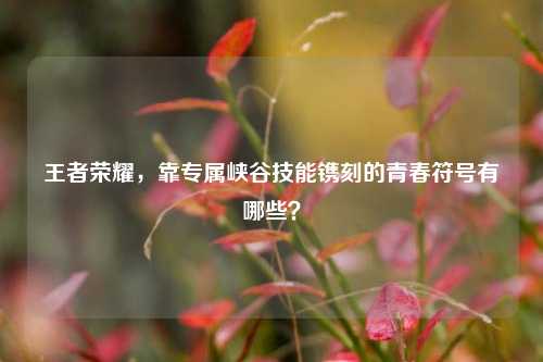 王者荣耀,靠专属峡谷技能镌刻的青春符号有哪些?