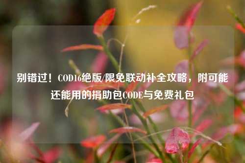 别错过!COD16绝版/限免联动补全攻略,附可能还能用的捐助包CODE与免费礼包