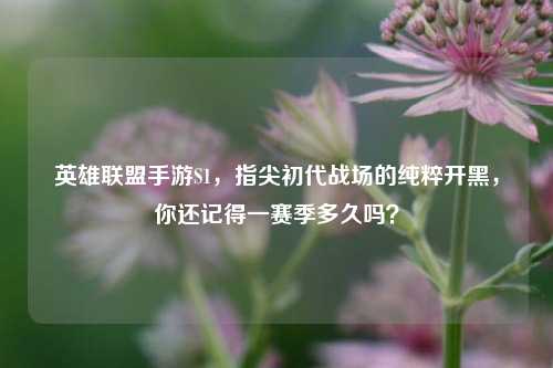 英雄联盟手游S1,指尖初代战场的纯粹开黑,你还记得一赛季多久吗?