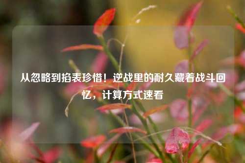 从忽略到掐表珍惜！逆战里的耐久藏着战斗回忆，计算方式速看