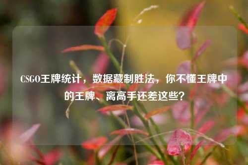 CSGO王牌统计，数据藏制胜法，你不懂王牌中的王牌、离高手还差这些？