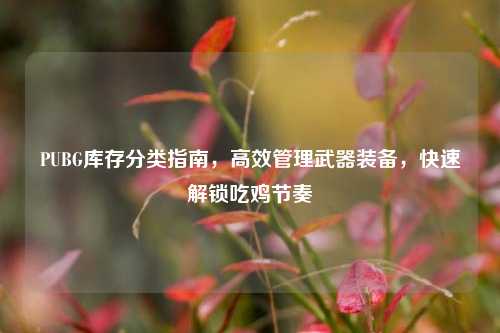 PUBG库存分类指南,高效管理武器装备,快速解锁吃鸡节奏