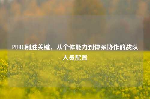 PUBG制胜关键,从个体能力到体系协作的战队人员配置