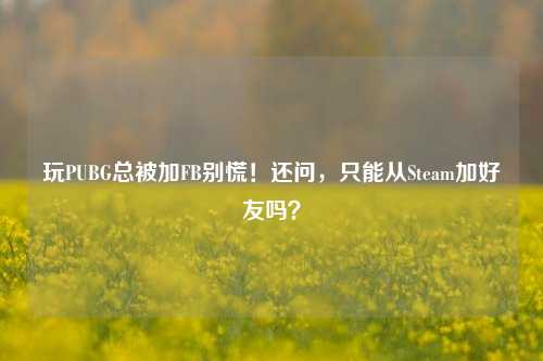 玩PUBG总被加FB别慌！还问，只能从Steam加好友吗？