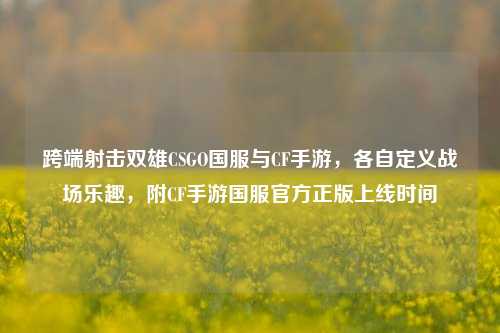 跨端射击双雄CSGO国服与CF手游，各自定义战场乐趣，附CF手游国服官方正版上线时间