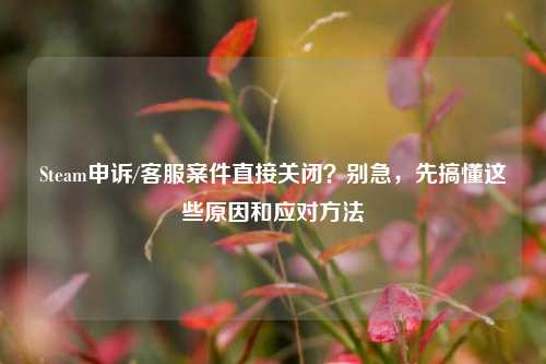 Steam申诉/客服案件直接关闭?别急,先搞懂这些原因和应对方法