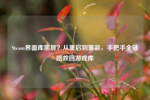 Steam界面库黑屏?从重启到重装,手把手全链路救回游戏库