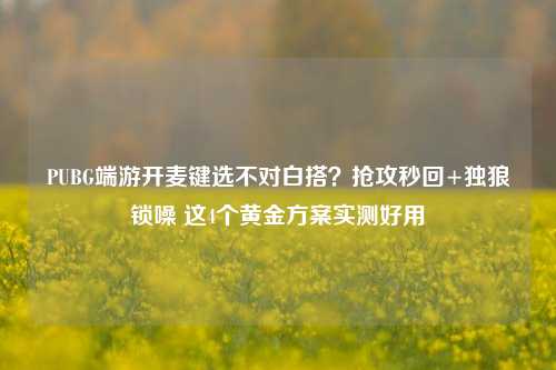 PUBG端游开麦键选不对白搭?抢攻秒回+独狼锁噪 这4个黄金方案实测好用