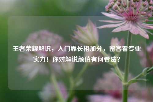 王者荣耀解说,入门靠长相加分,留客看专业实力!你对解说颜值有何看法?